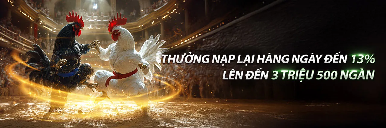 Cá Cược Thể Thao Tại vip789